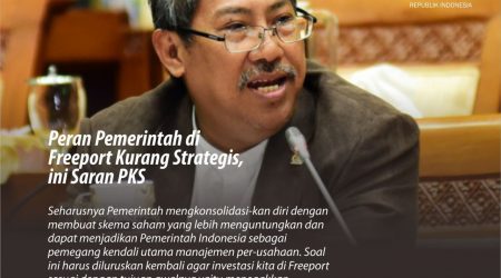 Peran Pemerintas di Freeport Kurang strategis